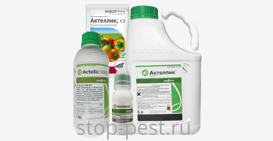 фото сайта https://stop-pest.ru/