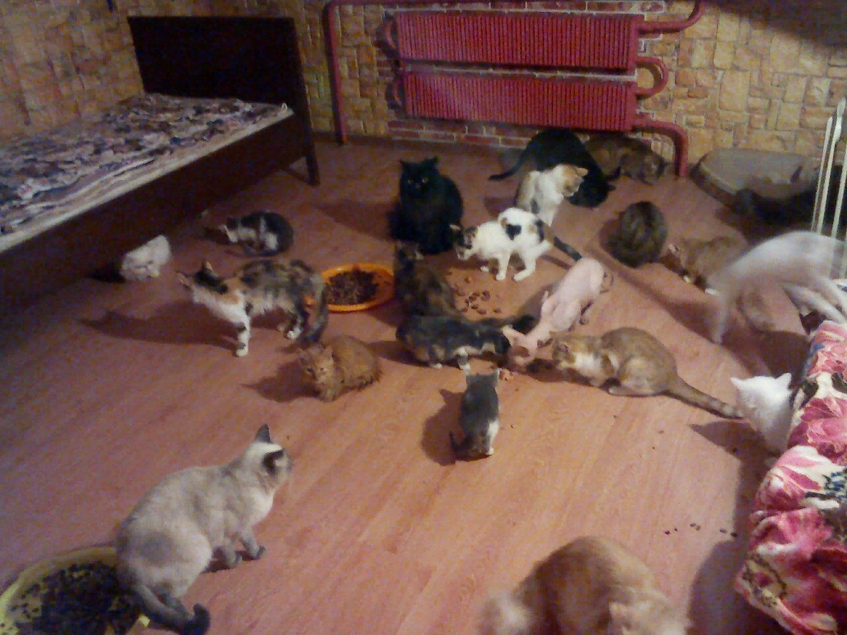 Из Вконтакте