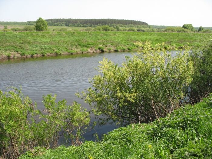 река по краю поселка