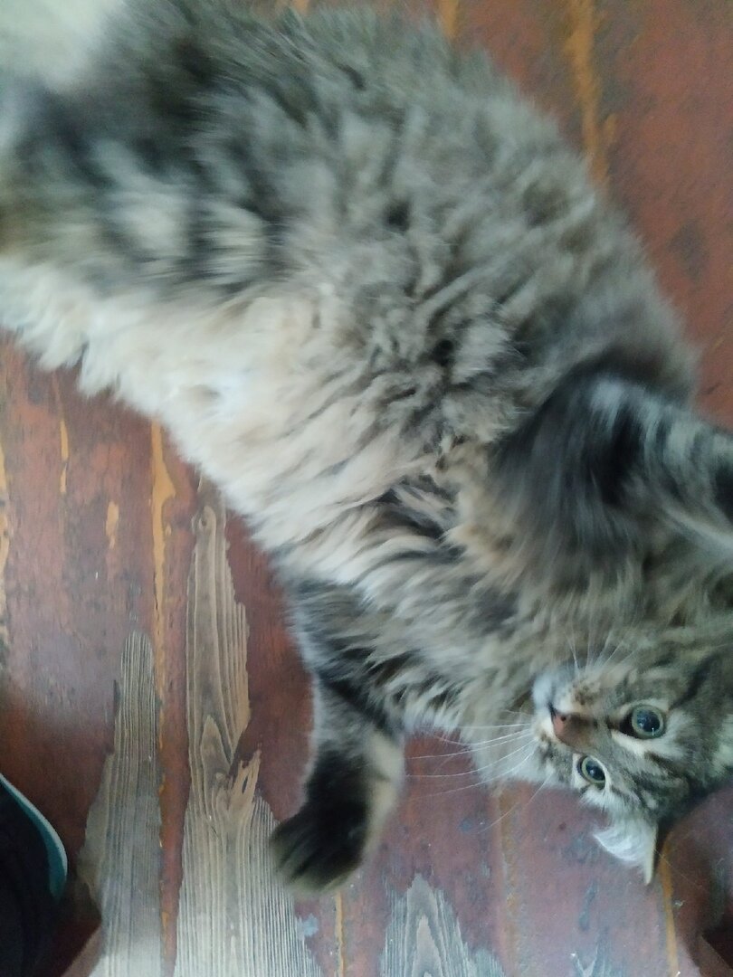 Фото из личного архива автора.