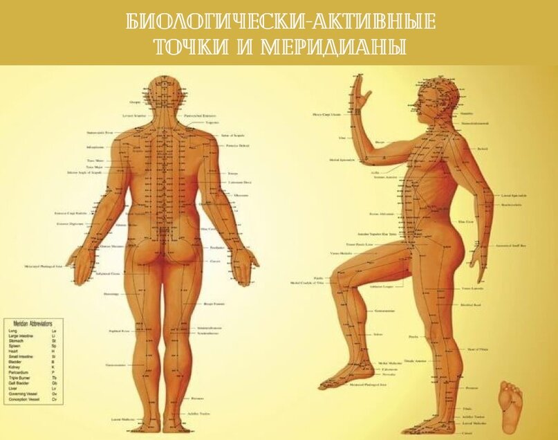 Акупунктурные точки и меридианы