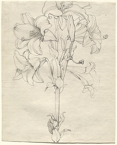 Александровский букет, или Император, восхищённые дамы и цветочки