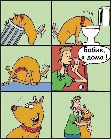 Скаченно из Яндекса