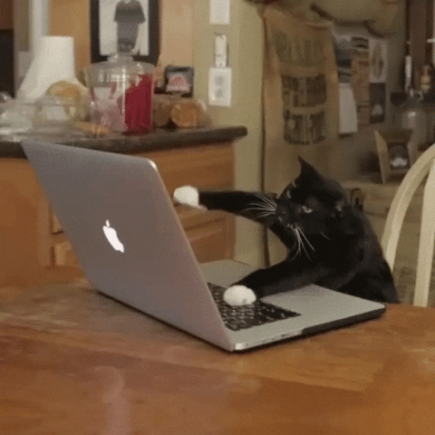 Источник: GIPHY