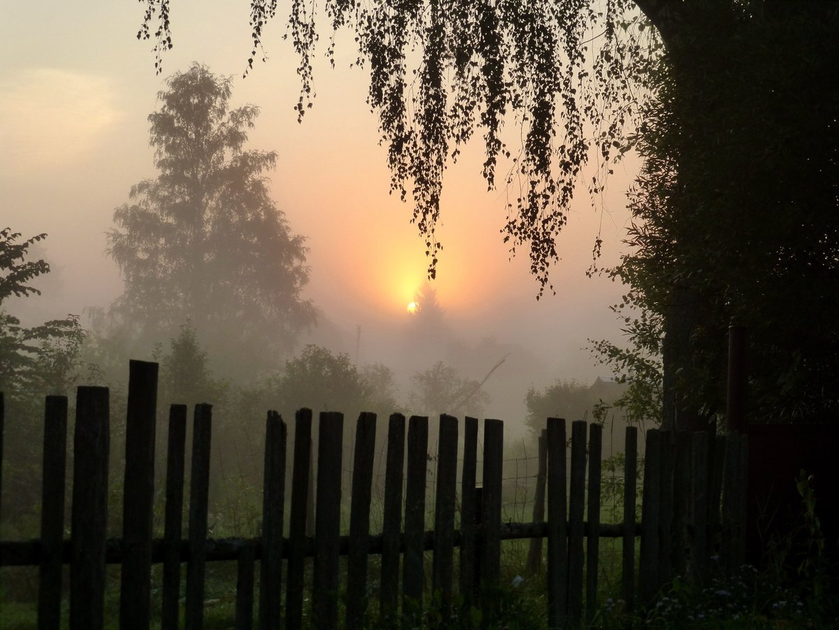 Солнечное утро в деревне