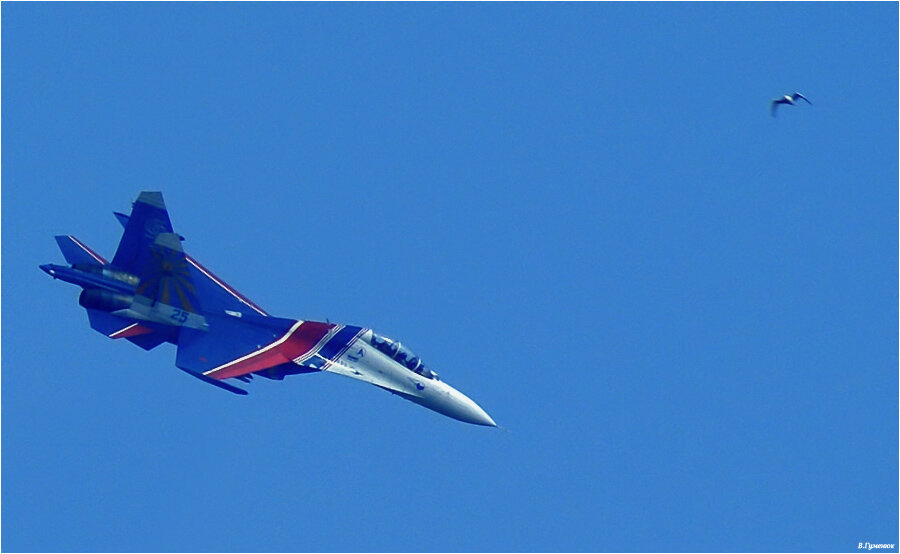 Фото: Яндекс