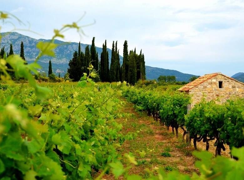 https://happytovisit.com/glib/3/Private-Konavle-Countryside-Tour-from-Dubrovnik-2-19860.png