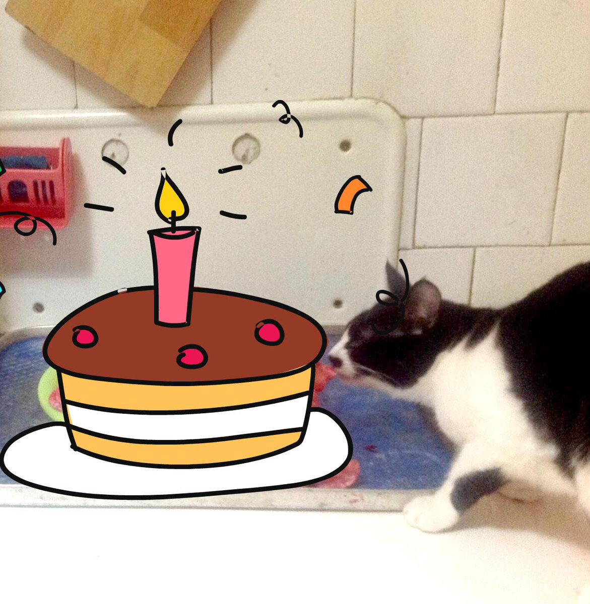 Кот Чарлик - Кому-то сырое легко фу-фу-фу, а для меня, как именинный тортик