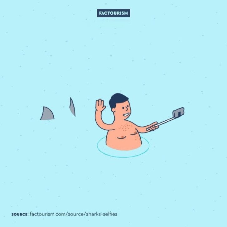 Селфи убивают больше людей, чем акулы
 
В сентябре 2015 года 66-летний турист упал с лестницы во время попытки сделать селфи у Тадж-Махала и погиб. Этот трагический случай стал 12-м летальным исходом из-за селфи за год, в то время как акулы стали причиной смерти лишь 8 человек.