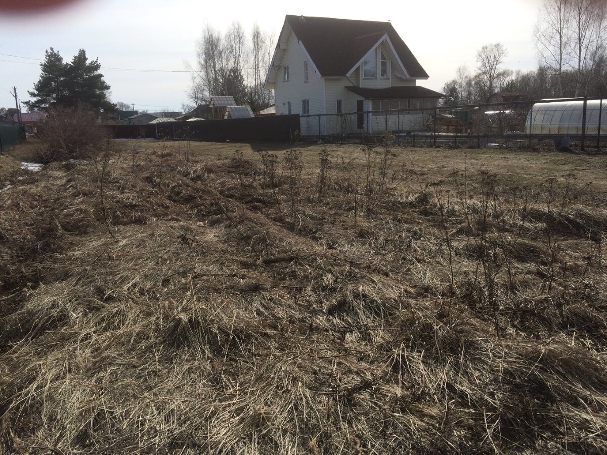 ДНП,ИЖС,ЛПХ или СНТ? | Загородная недвижимость | Дзен