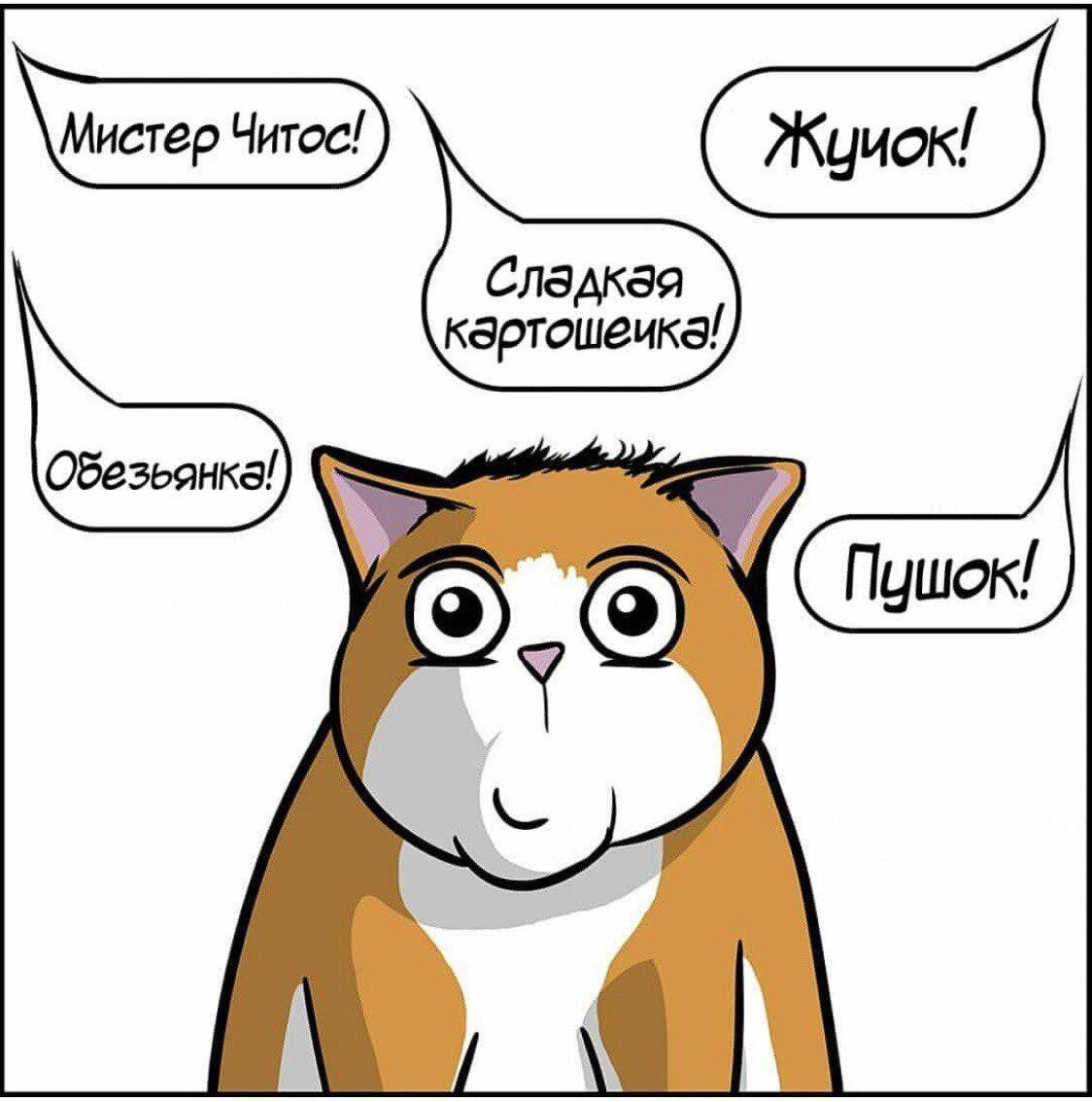 Типичная ситуация в семье с любимым котом. Оригинал картинки взят из открытого Инстаграм аккаунта - @tomacomics
