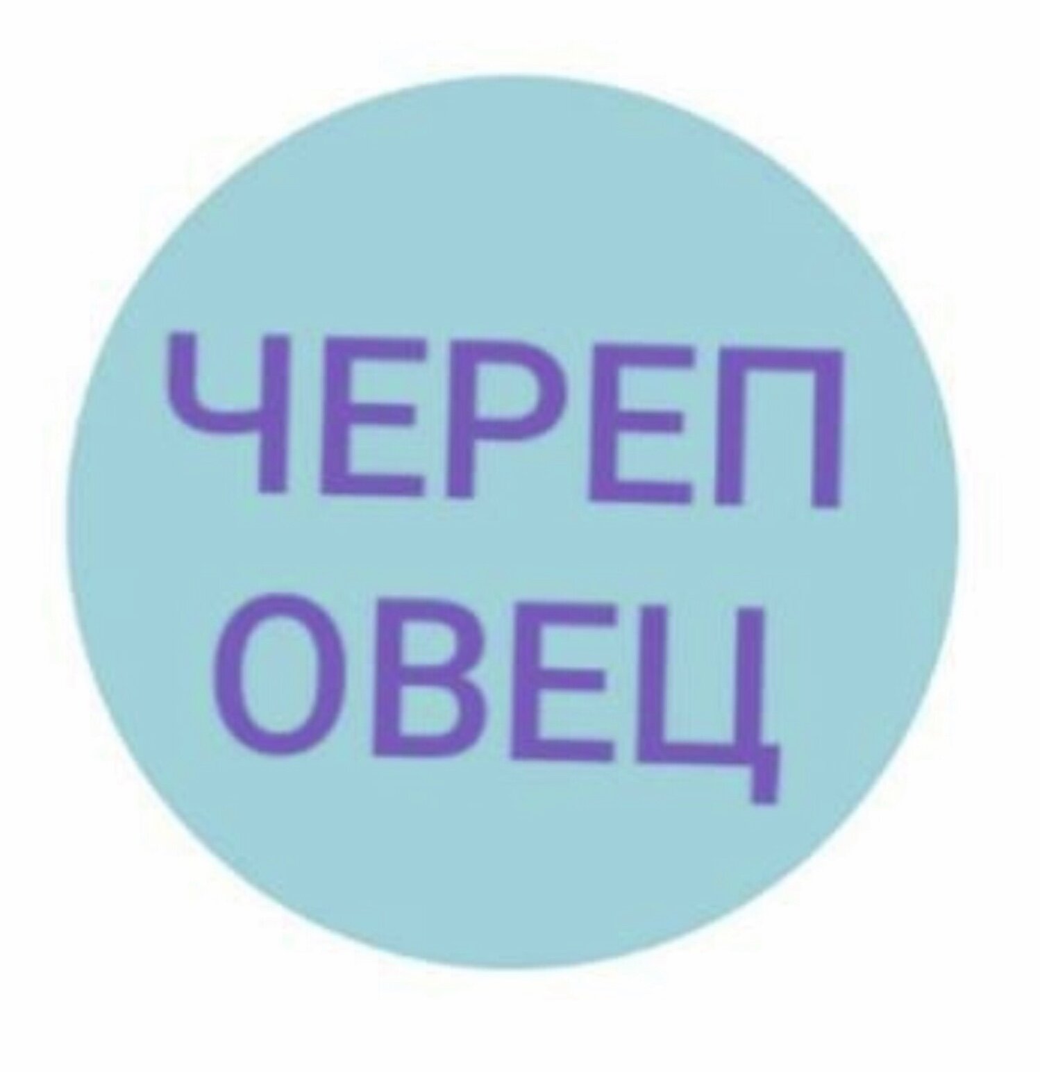 О интернет! Ты - Сила! или как отреагировали люди на новый логотип СПб