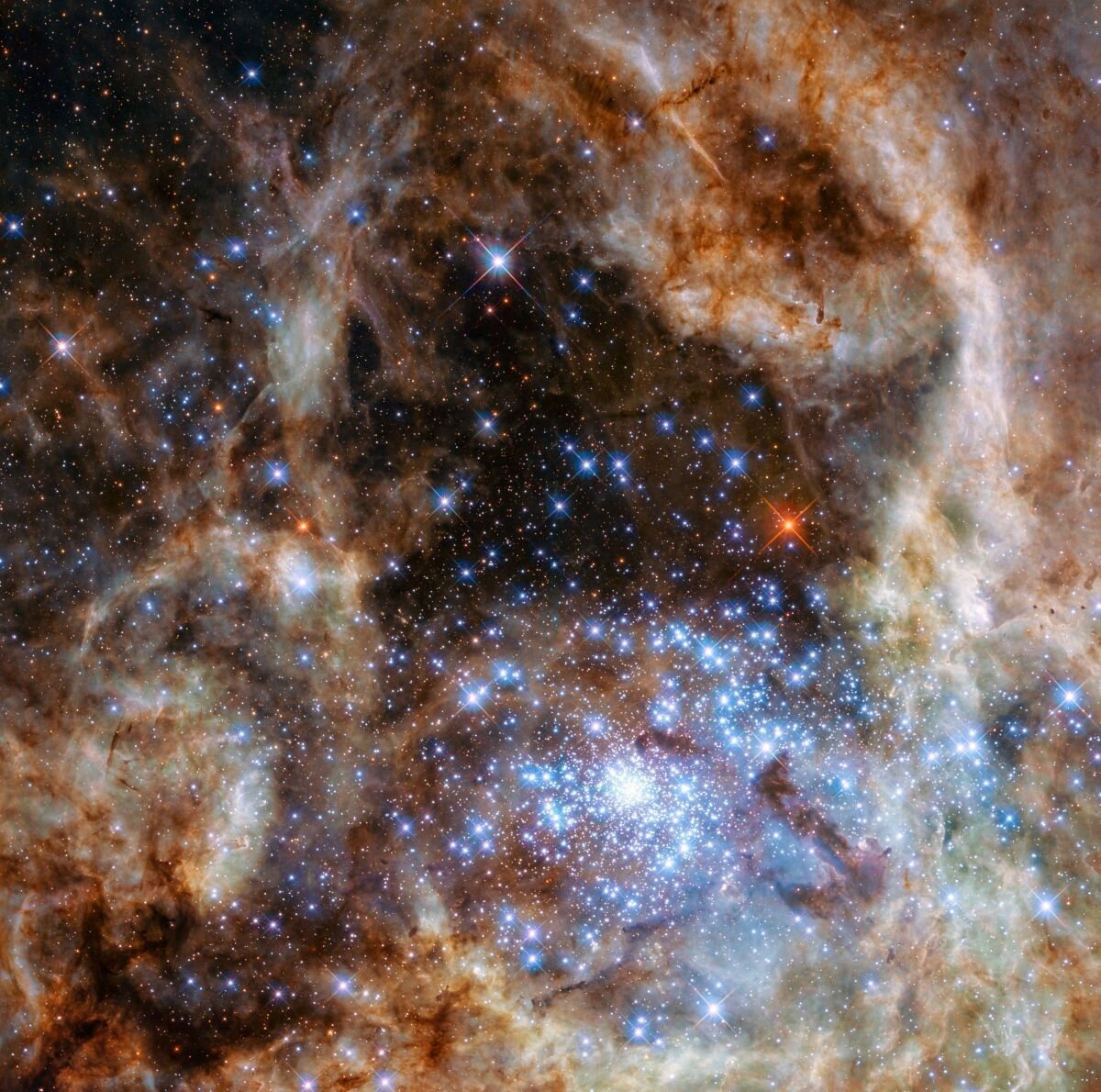 Большое Магелланово Облако / © Hubble Space Telescope/NASA