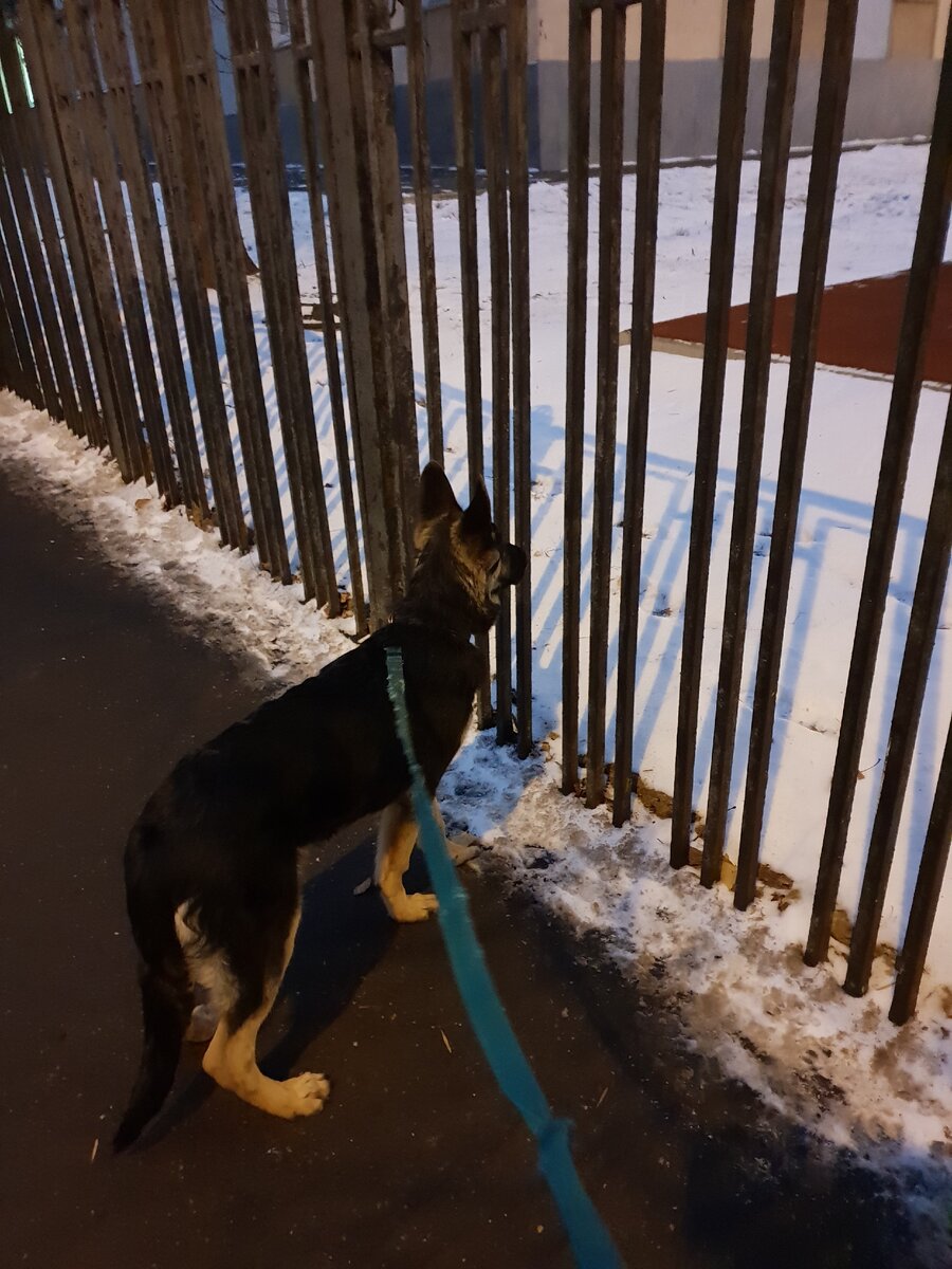 Ждет сына с  занятий