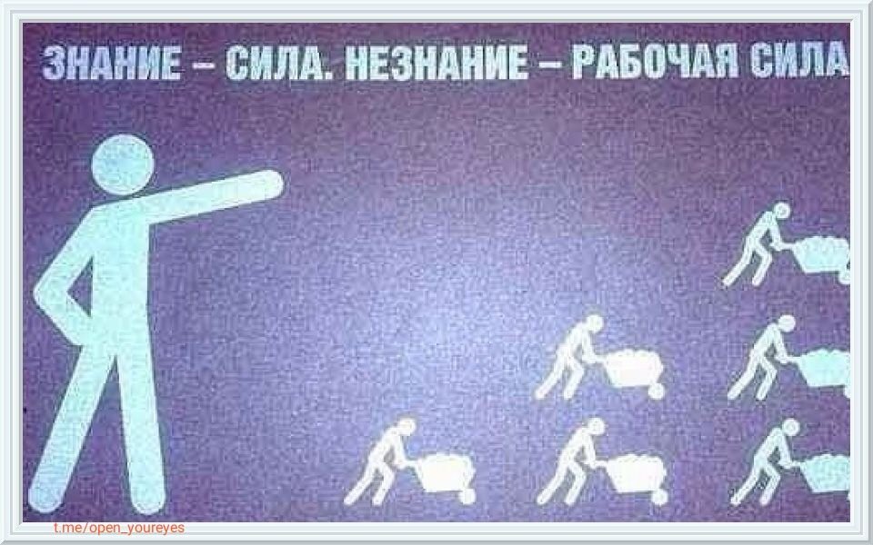 Знание сила картинки. Афоризмы про знания. Знание - сила. Знание сила картинки. Знания надпись.