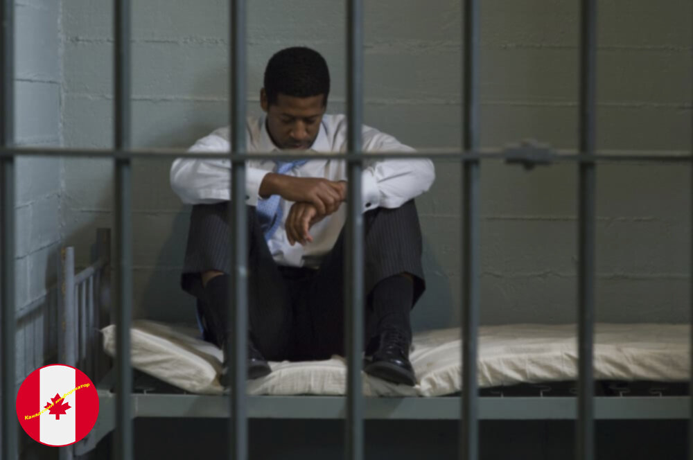 Обезьянник / Источник: Яндекс.Картинки