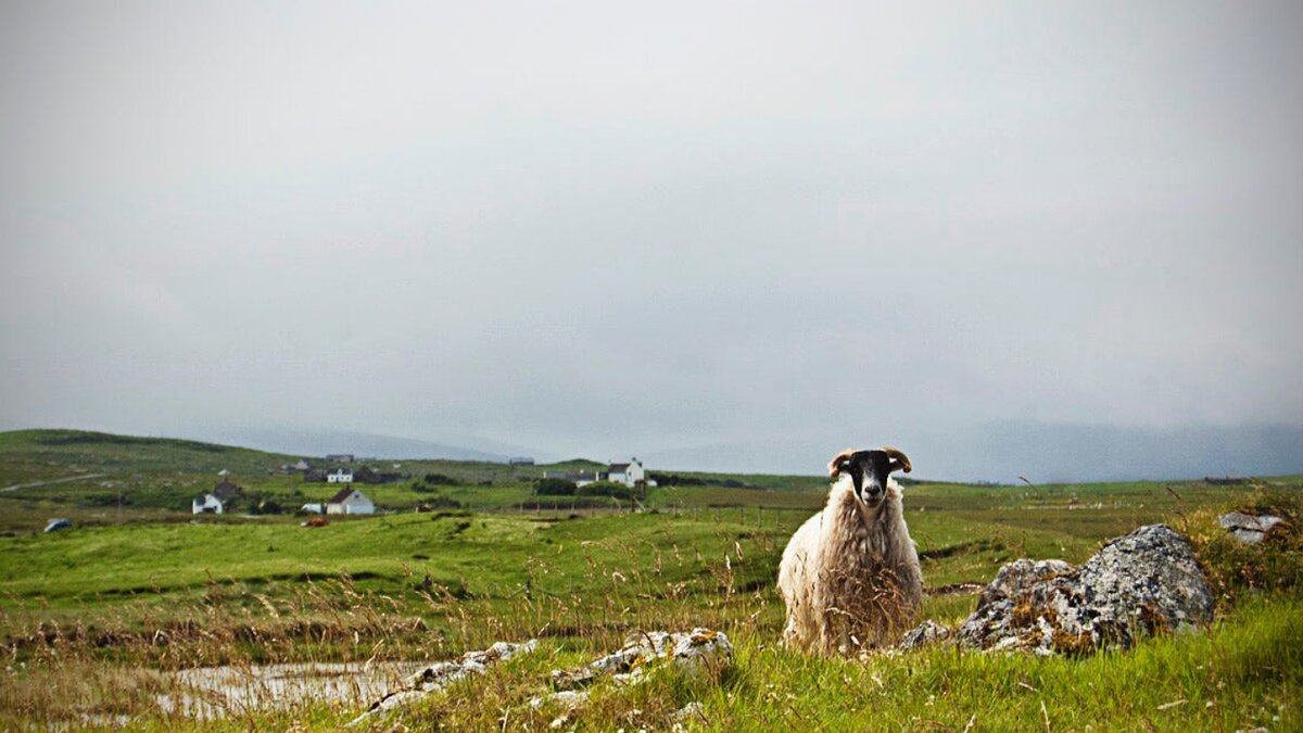 Photo by Eleonora Della Bernardina