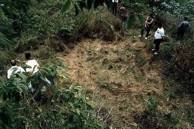 След на месте посадки предполагаемого НЛО. Фото: The Sun