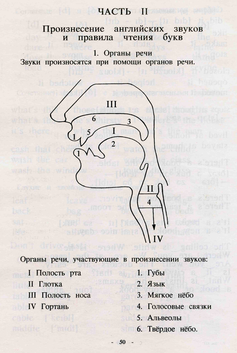 Приведите три примера активных органов речи Органы речи и их работа: найдено 90 изображений
