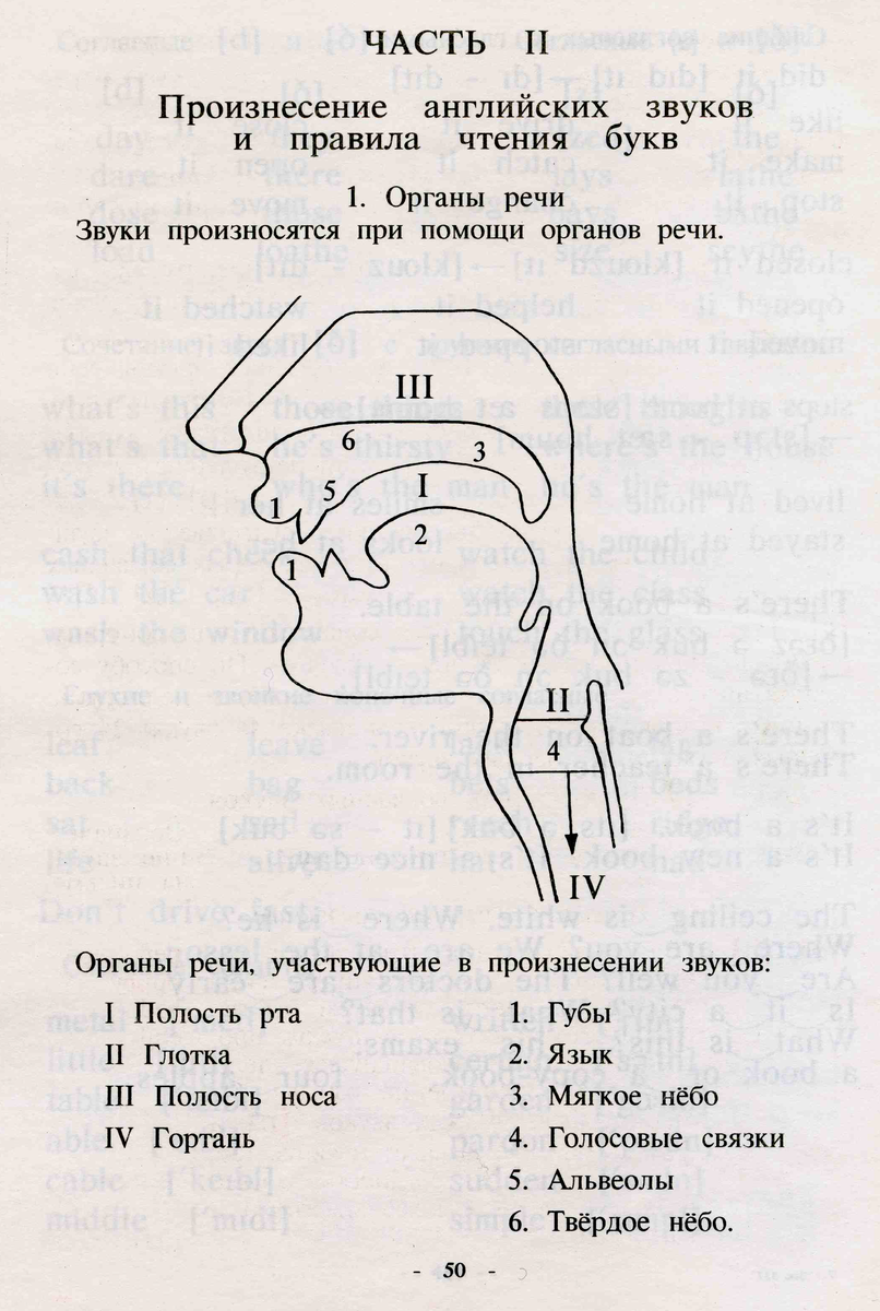 Органы речи