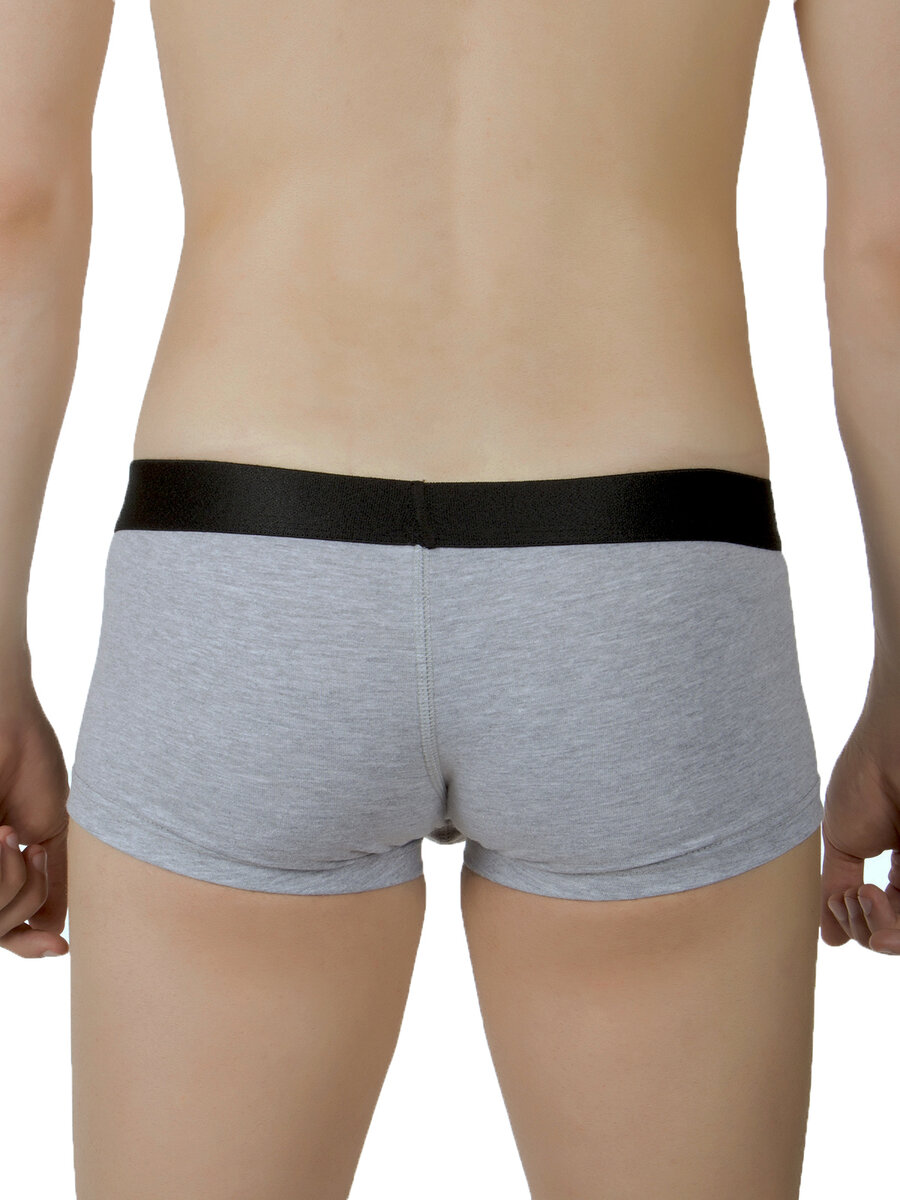 Удлиненные транки, atomic underwear, серые
