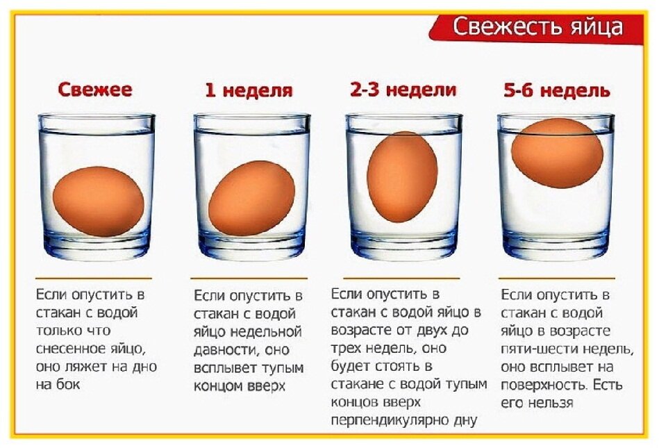 Как и сколько хранить яйца в холодильнике