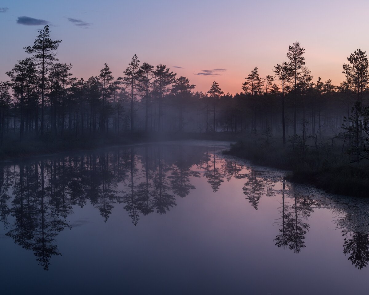 Ленинградская область. Июль 2019 года. Снято на Nikon D850. Объектив Nikon 17-35 f/2.8