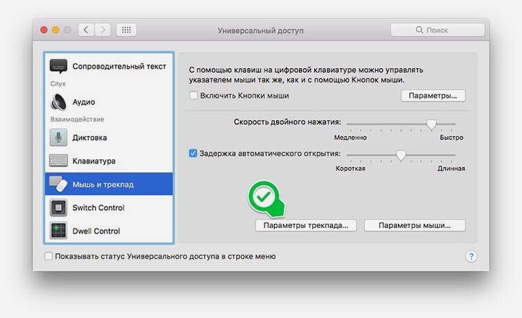 Зайдите в Меню – Настройки – Универсальный доступ