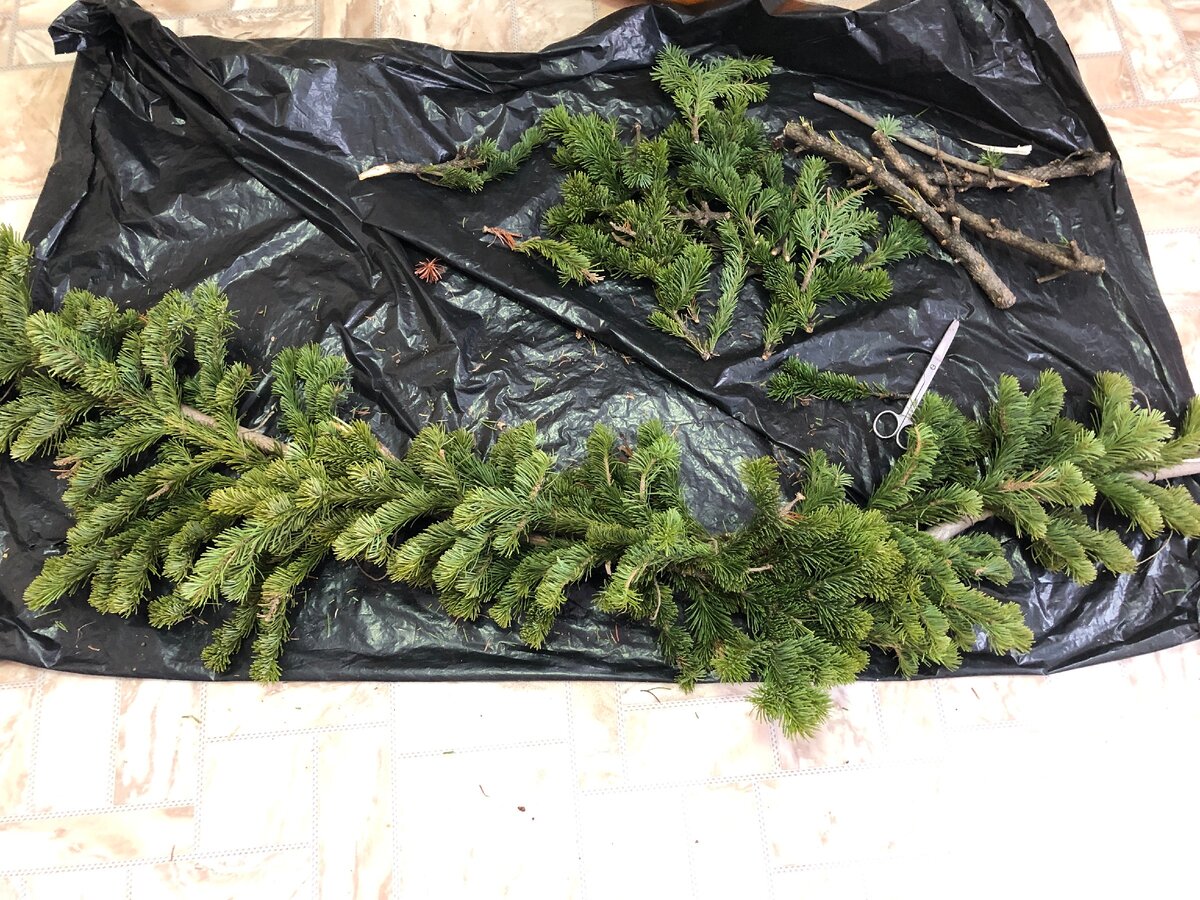 Делаю новогоднюю композицию из веток. Фото автора