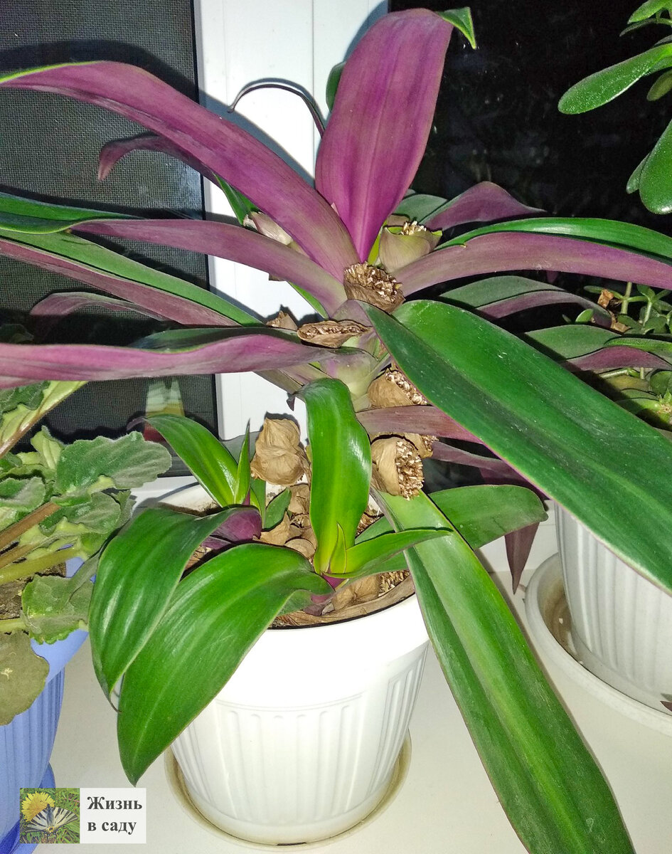 Уже какой большой стал