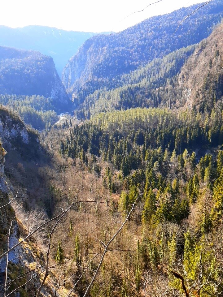 Чабгарский карниз смотровая площадка прощай родина