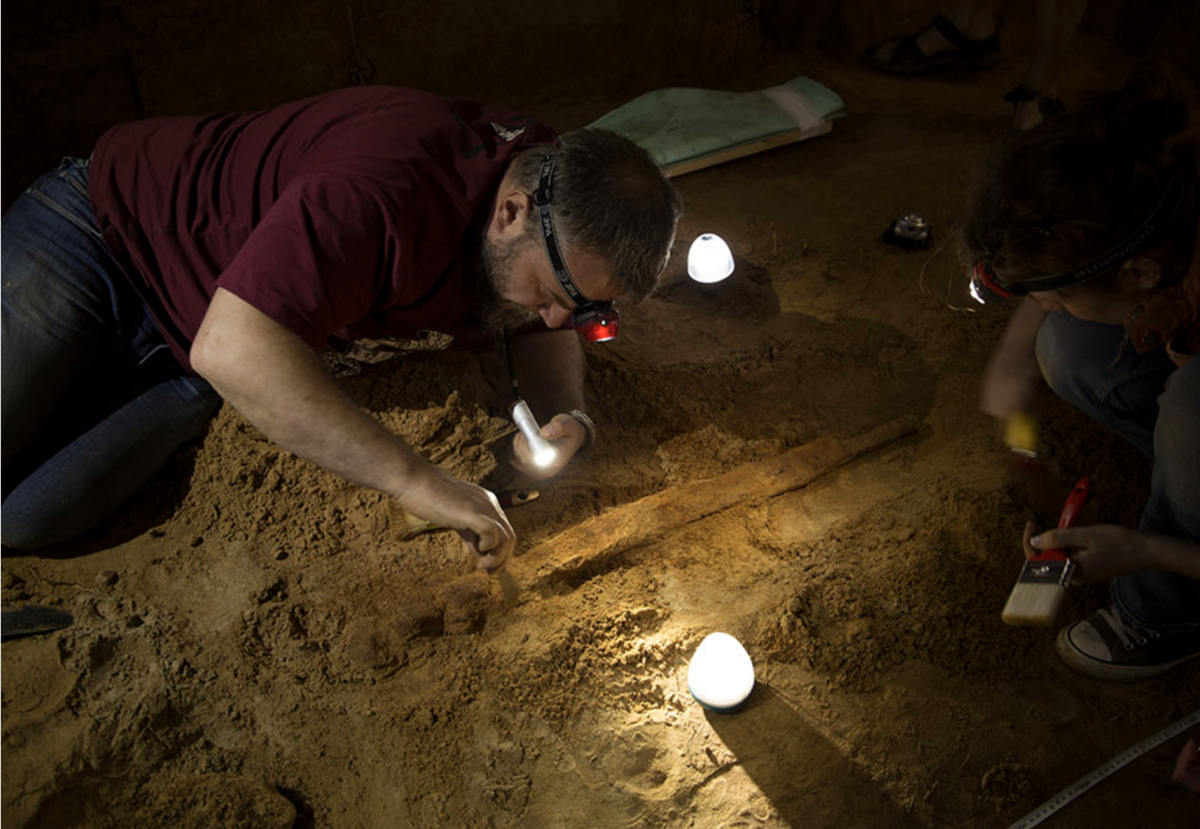 раскопки гнездово клад. рюриково городище раскопки. ефим абрамович павлодский. музей глебово городище. полевая консервация.