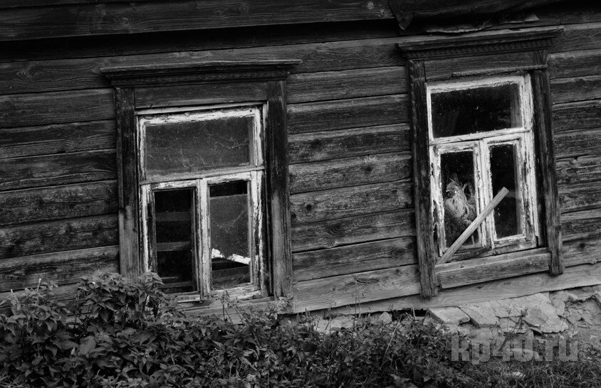 Родные края – это те места, где я чувствую себя легко и свободно, а все окружающее меня – от заброшенных избушек до просторных полей мне близко и понятно и дает ощущение, что я дома.