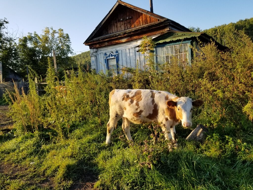 Ай сел