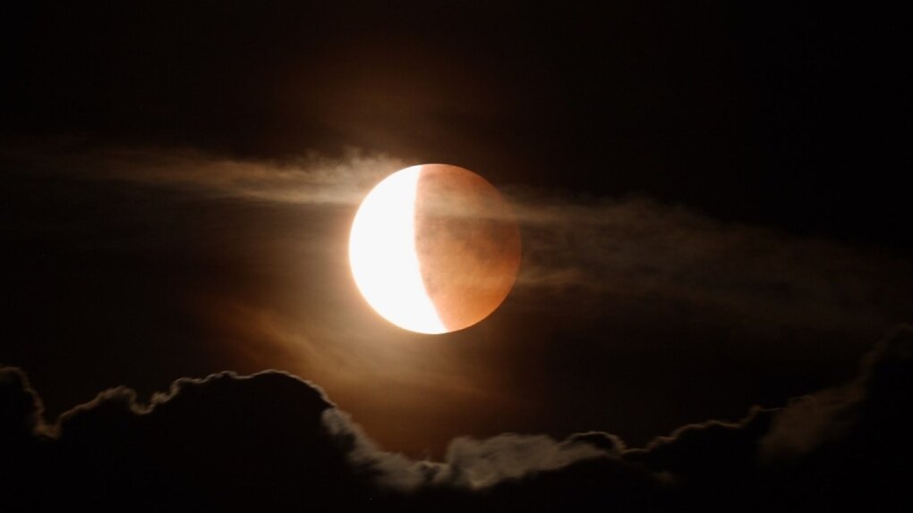 Иллюстрация к тексту получена из открытого источника Яндекс картинки