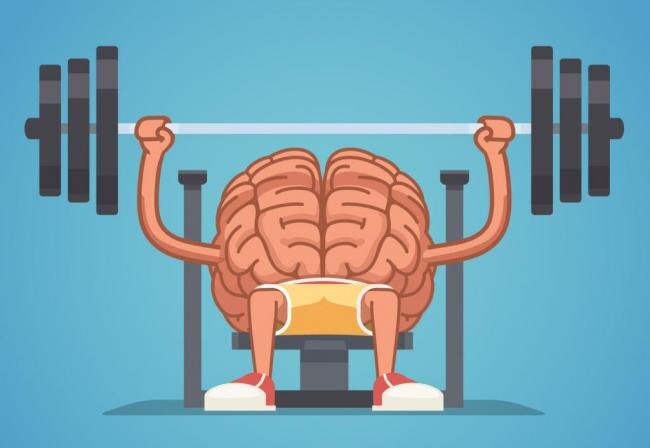 
Исследование в 2006 году показало, что упражнения очень хорошо сказываются на нашем мозге. В частности, упражнения могут защитить наш мозг от усыхания с возрастом.