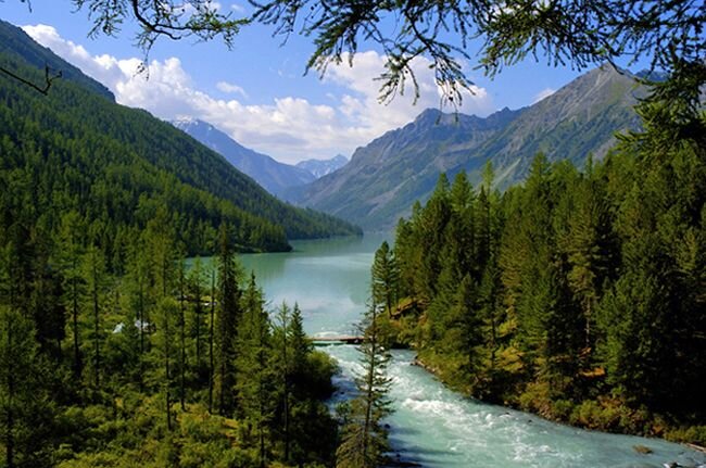 Горный Алтай (фото взято из интернета)