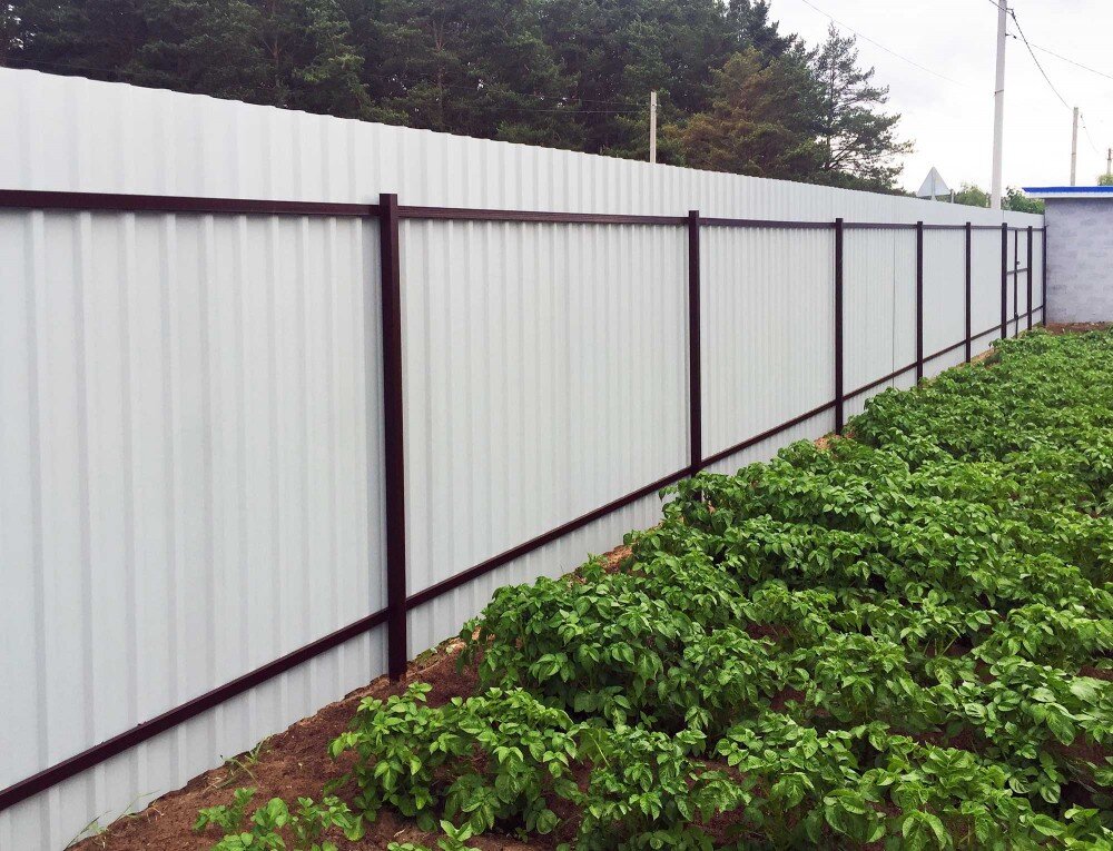 Профнастил - популярный материал для строительства забора