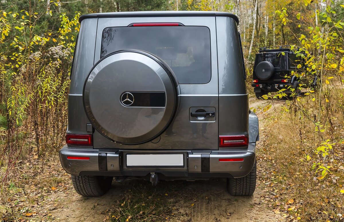 Время идет, Гелик не меняется. Mercedes-Benz G-Class 350d 4MATIC - Только  для ценителей. | Pro 100 auto | Дзен