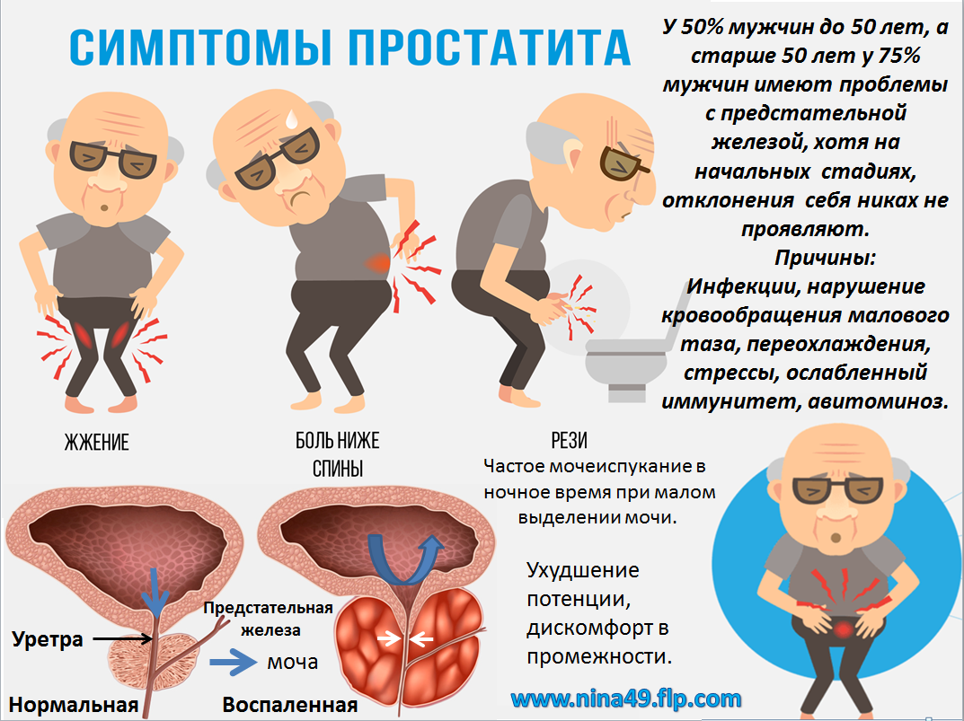 Сколько лечится простатит. Простатиты у мужчин симп. простата у мужчин симптомы.