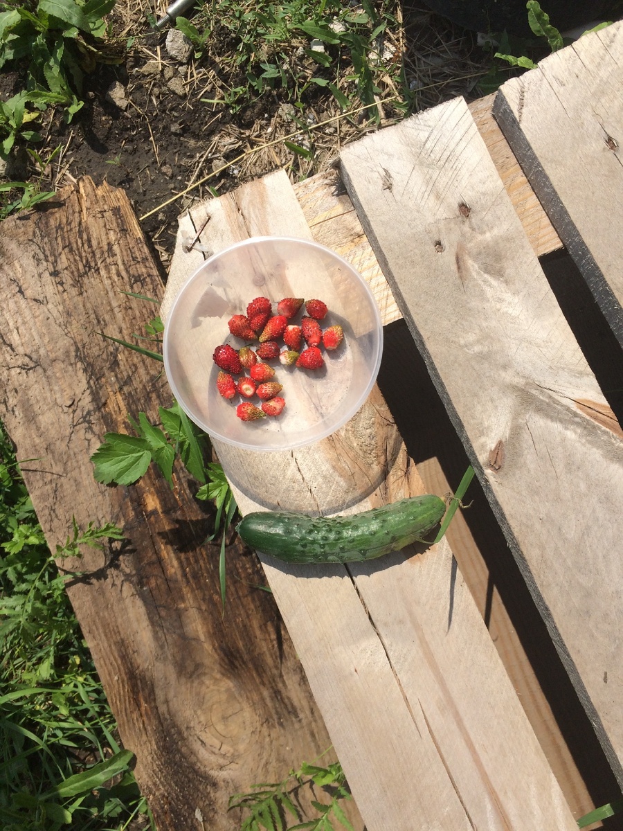 Фото из личного архива