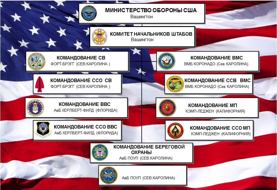 Правоохранительные органы сша схема