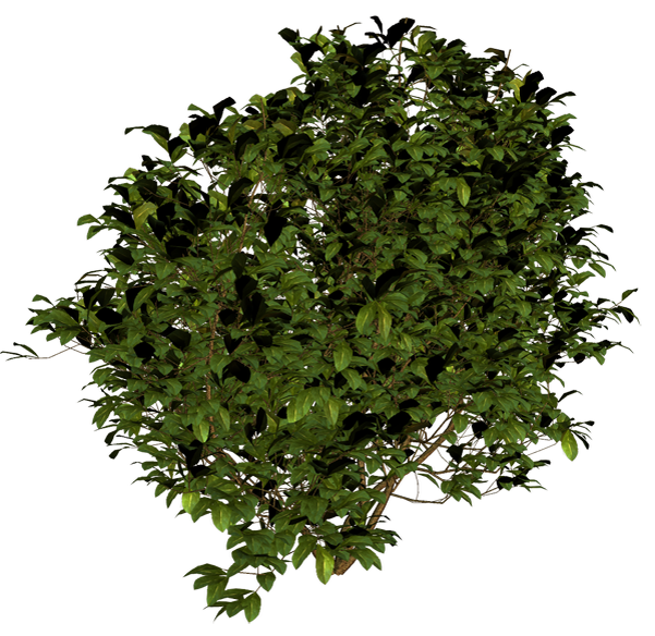 фото из  открытого доступа гугл-картинки