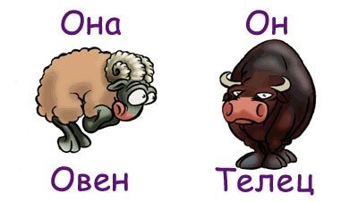 Овен-мужчина и Телец-женщина – совместимость знаков зодиака в любовных отношениях, браке и дружбе