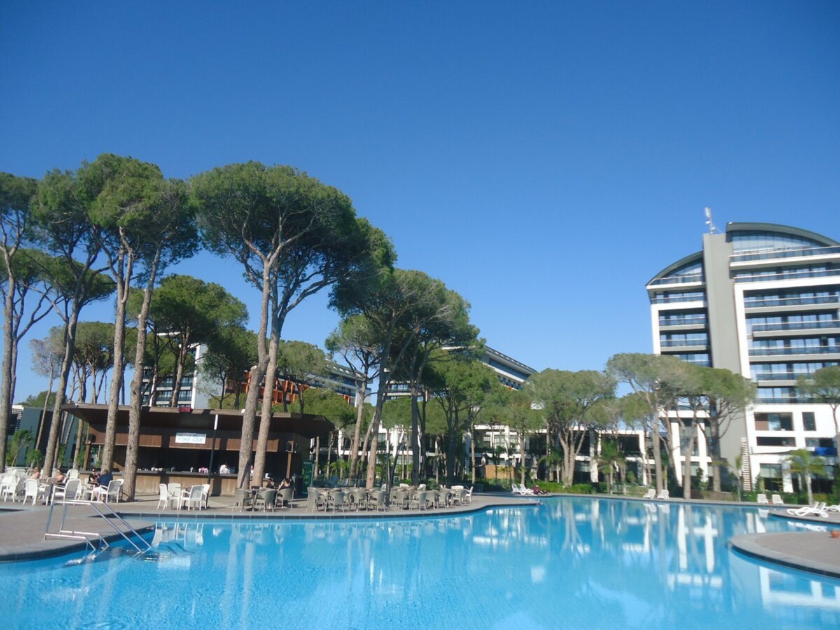 фото из личного архива