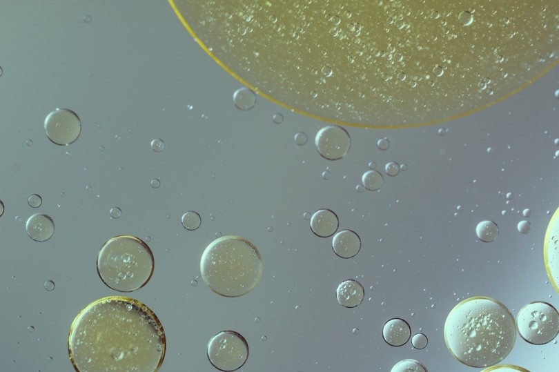 Фото - pxhere.com.