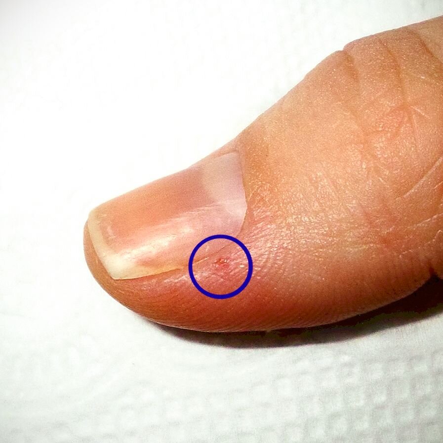 Ухаживаем за кутикулой