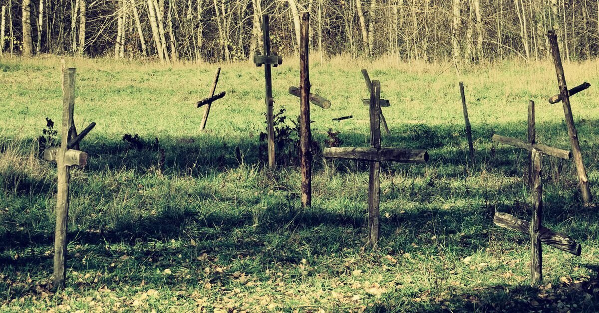 Взято из свободных источников "Яндекс.Картинки"