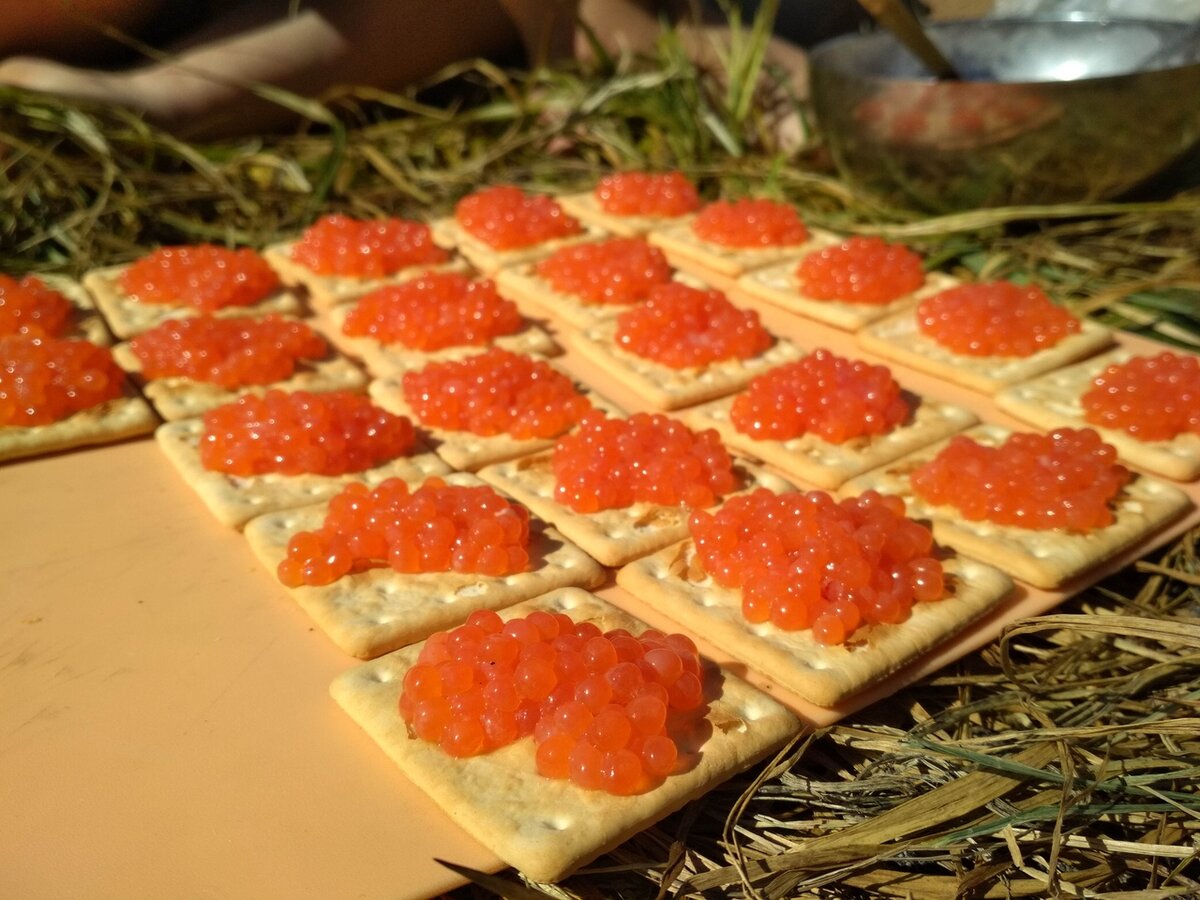 Это все из одной рыбины