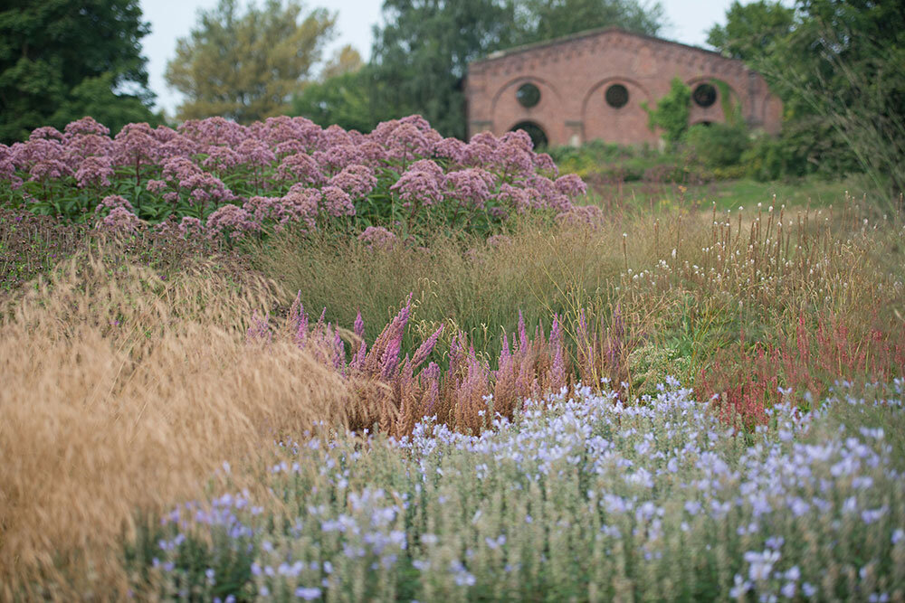 Сад Maximilianpark, фото с сайта oudolf.com